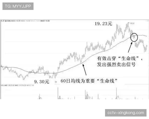 经济背景：欧冠奖金如何成为许多欧洲俱乐部维持运营的生命线